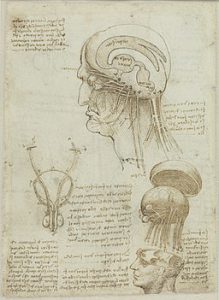 Leonardo_da_Vinci